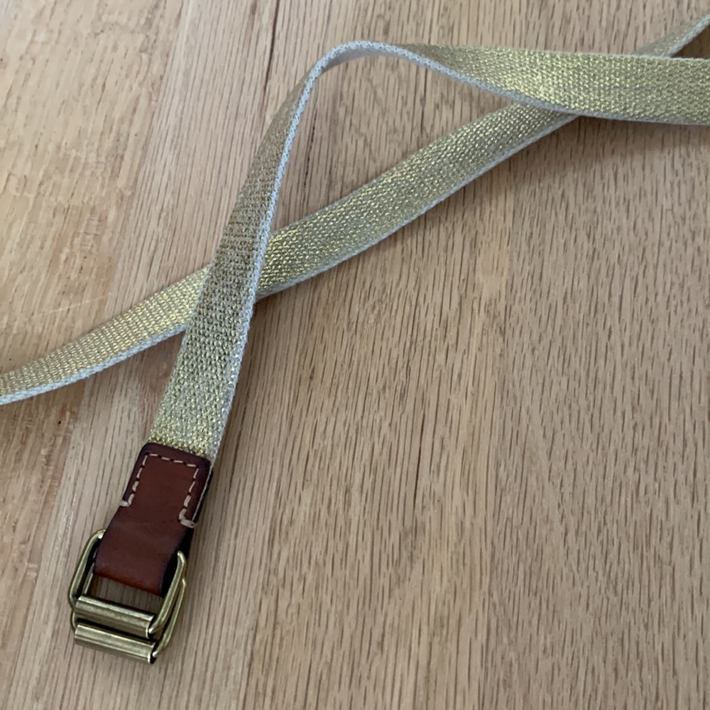 Shimmery gold belt